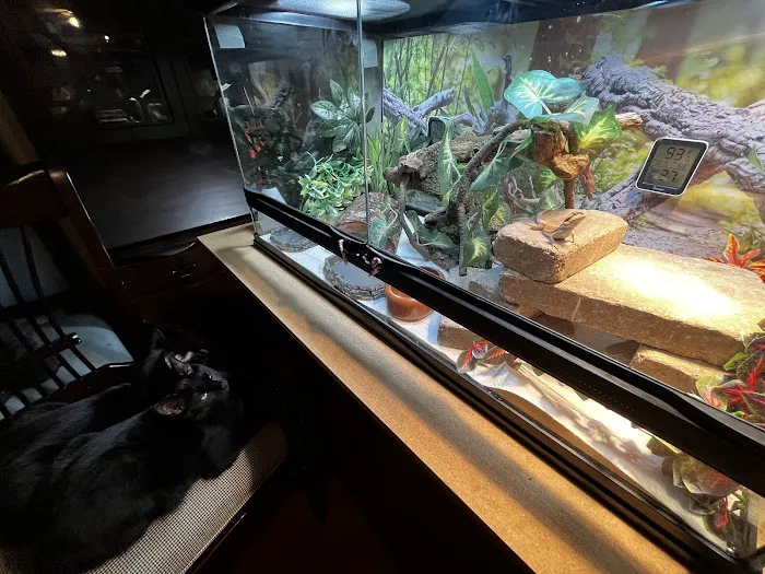 J&J Reptiles 4