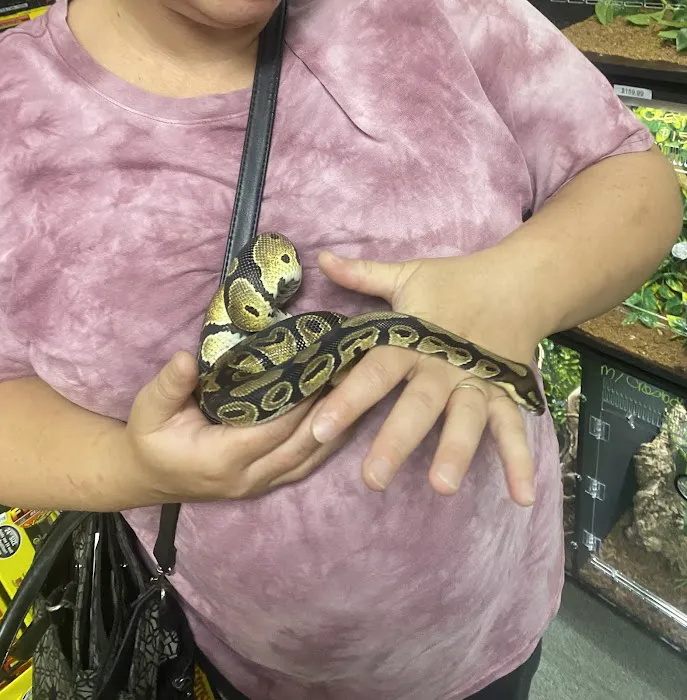 J&J Reptiles 6