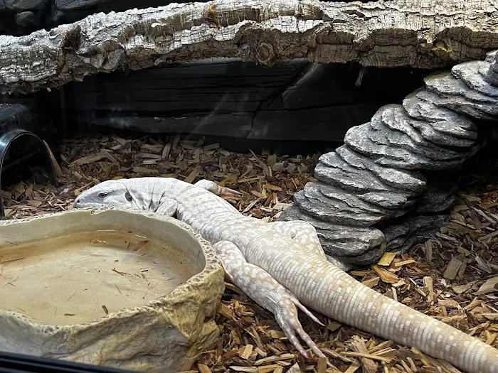 J&J Reptiles 5