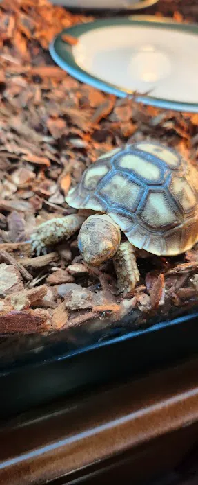 J&J Reptiles 1
