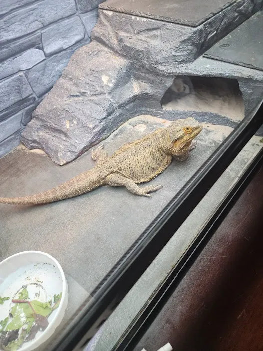 J&J Reptiles 9