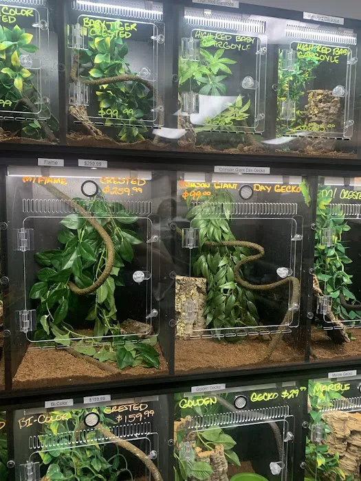 J&J Reptiles 10