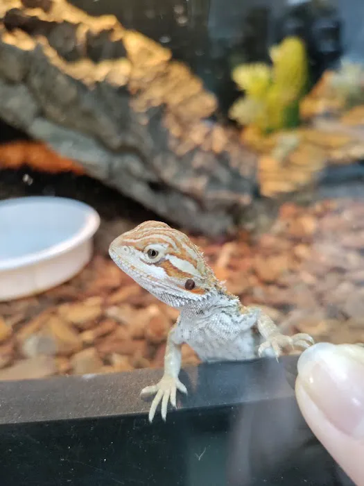 J&J Reptiles 7