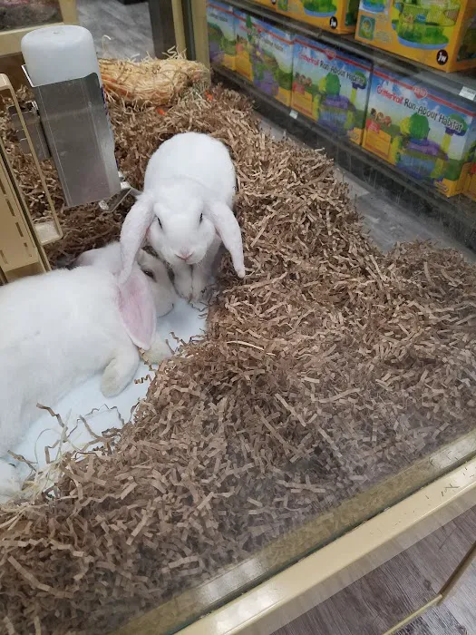 Pet Supermarket 7