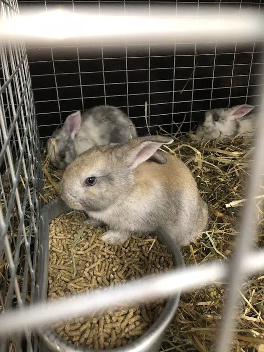 Pet Supermarket 9