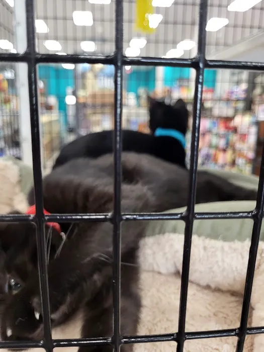 Pet Supermarket 2