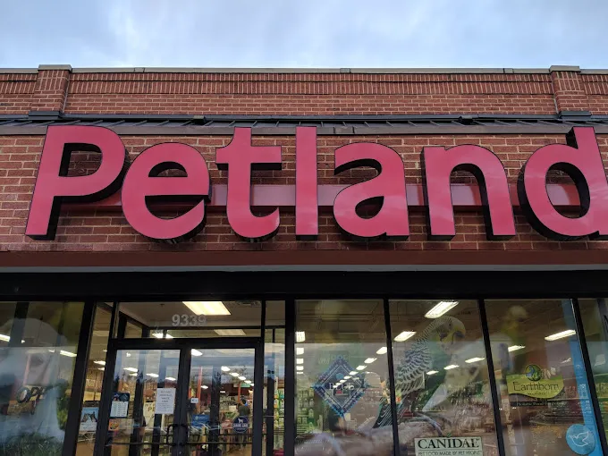 Petland Knoxville 10