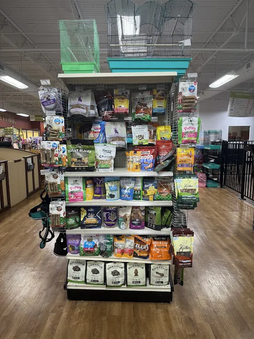 Petland Knoxville 8