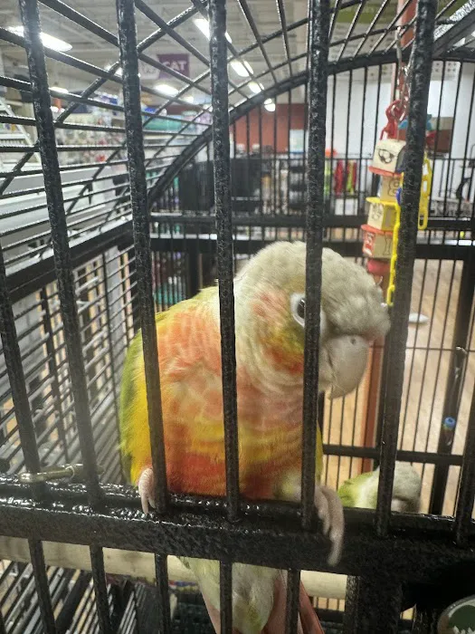 Petland Knoxville 7