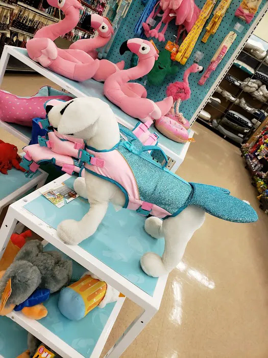 Petco 6