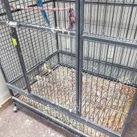 Ricki's Pet Depot ico