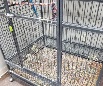 Ricki's Pet Depot