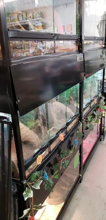 Ruff's Pet Shop 6