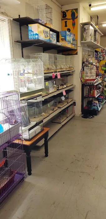 Ruff's Pet Shop 4