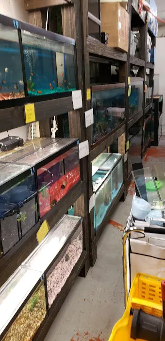 Ruff's Pet Shop 1