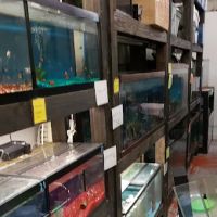 Ruff's Pet Shop ico