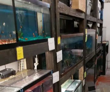 Ruff's Pet Shop