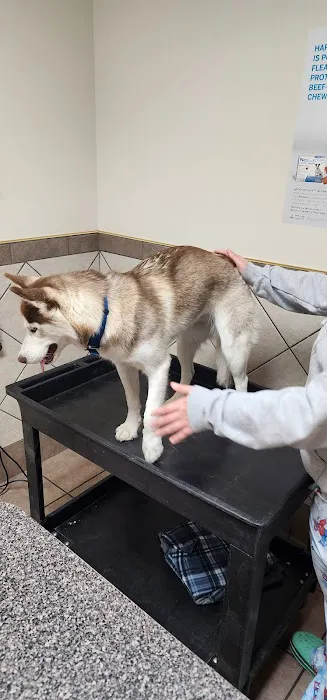 Veterinary Clinic Of The Mineral Area 5