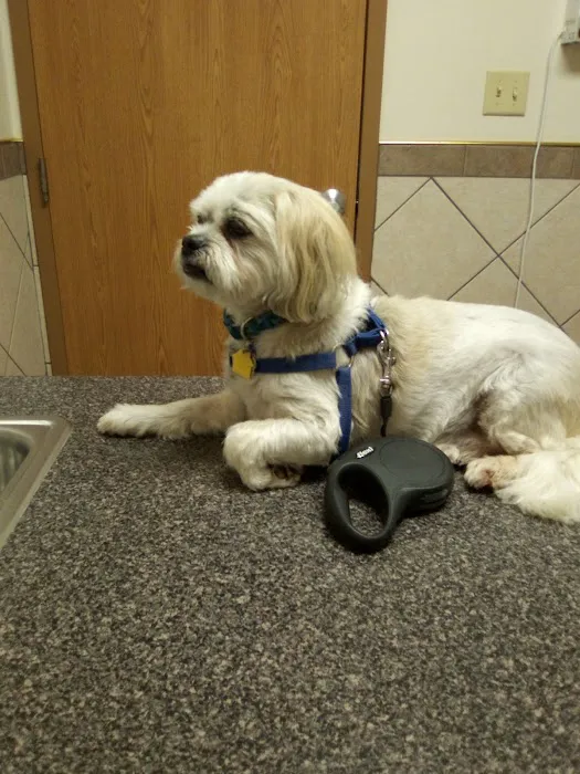 Veterinary Clinic Of The Mineral Area 8