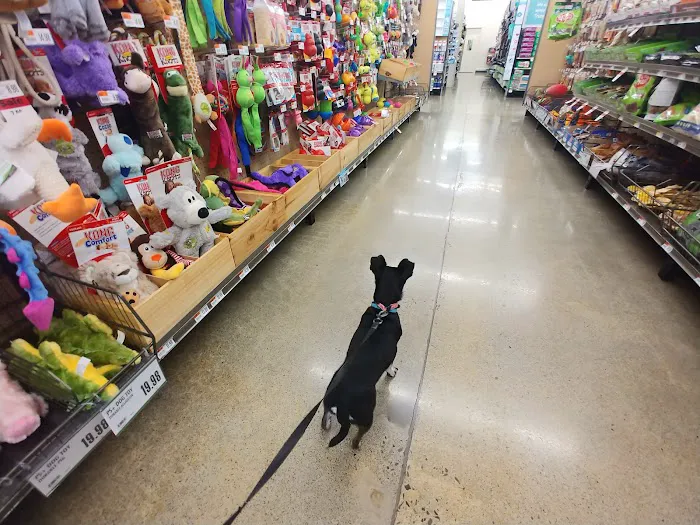 Pet Supplies Plus Maryville 3