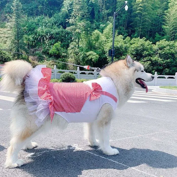 Top Dog 2