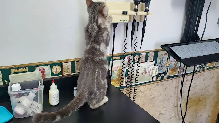 Weber Road Veterinary Clinic 2