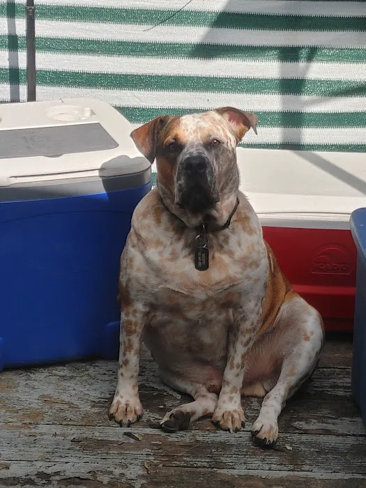 Weber Road Veterinary Clinic 7