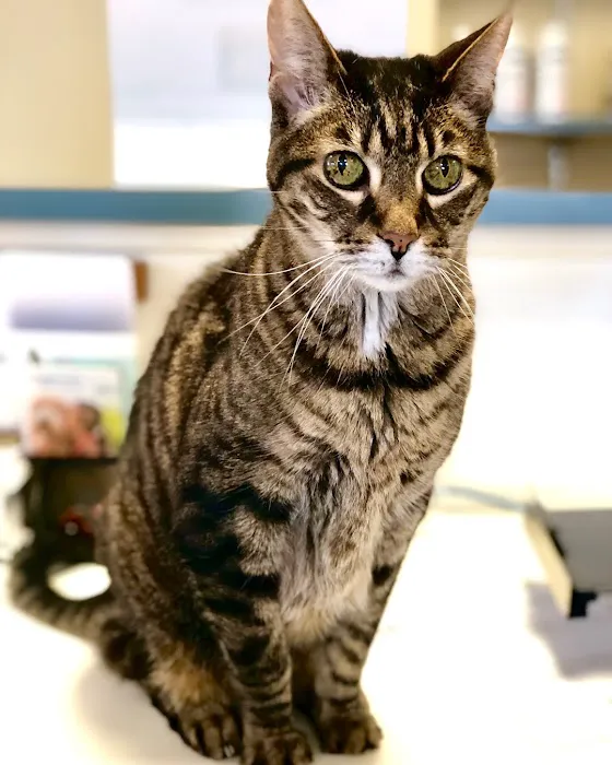 Freeburg Animal Hospital PC 8