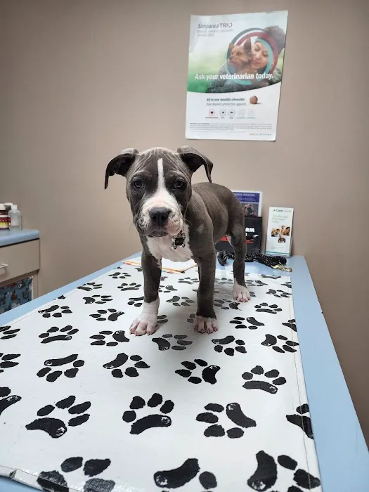 Freeburg Animal Hospital PC 4