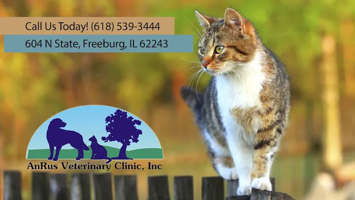 AnRus Veterinary Clinic 2