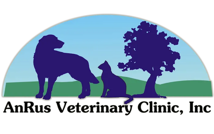 AnRus Veterinary Clinic 10