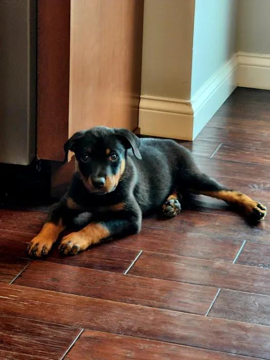 Shiloh Veterinary Clinic 8