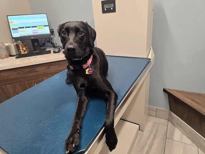 Shiloh Veterinary Clinic 9