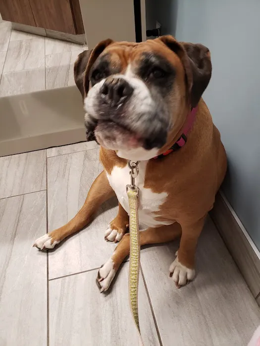 Shiloh Veterinary Clinic 4