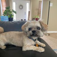Fairview Heights Animal Clinic ico