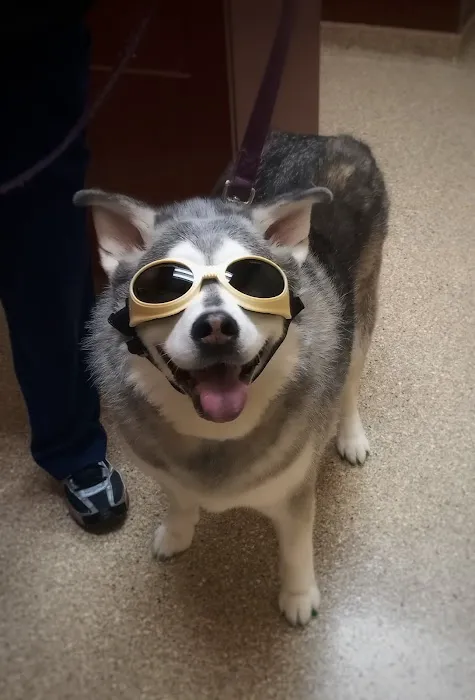 Healthy Pets Animal Hospital and Rehabilitation Center 10