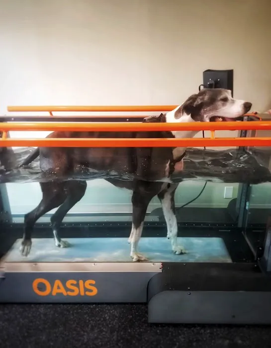 Healthy Pets Animal Hospital and Rehabilitation Center 8