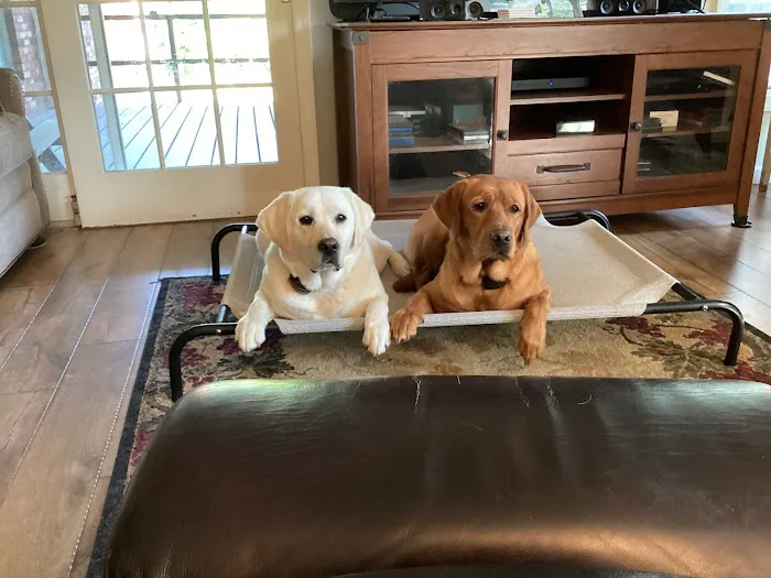 Four Paws Animal Hospital 4
