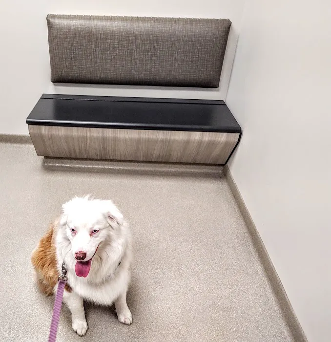Four Paws Animal Hospital 3