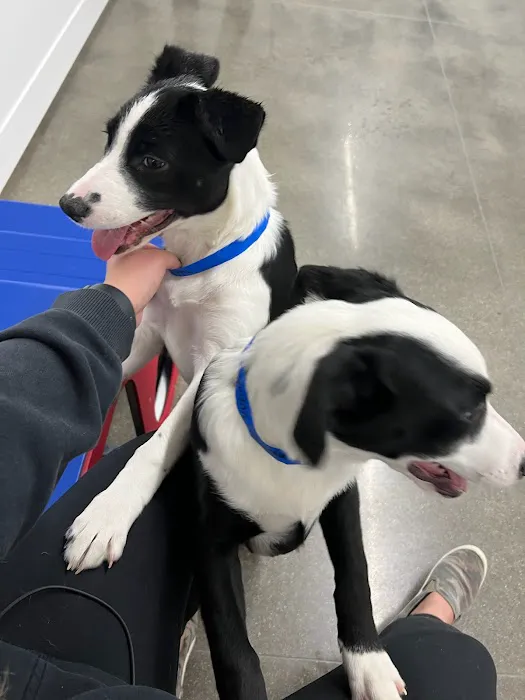 Banfield Pet Hospital 4
