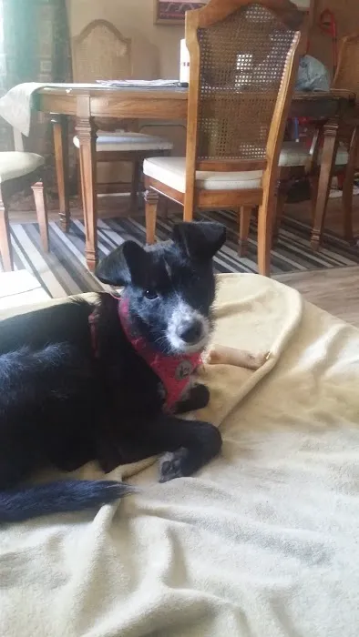 Banfield Pet Hospital 7