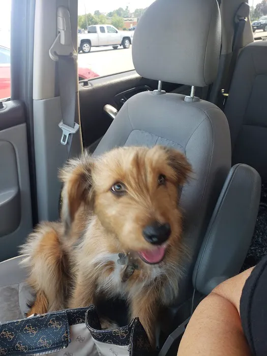Banfield Pet Hospital 8