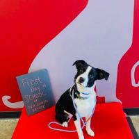 Banfield Pet Hospital ico