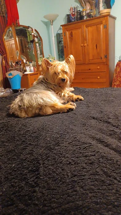 Banfield Pet Hospital 5