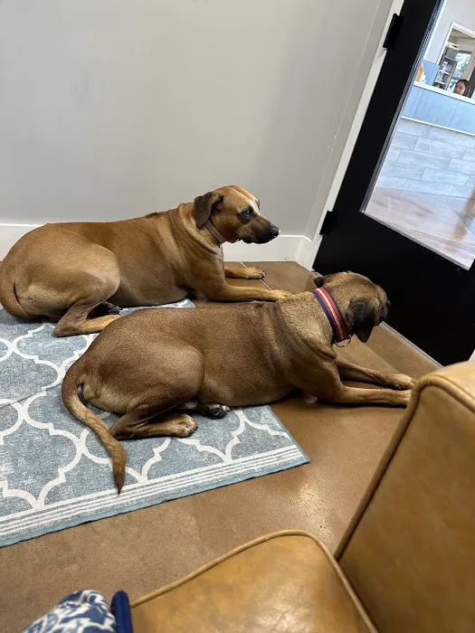 Furdunkin Veterinary Emergency Hospital 1
