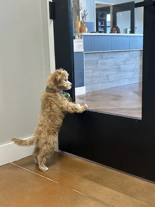 Furdunkin Veterinary Emergency Hospital 2