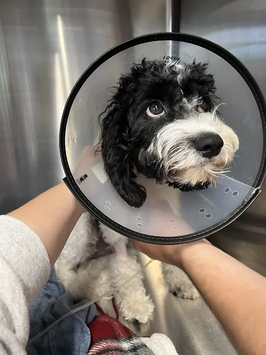 Furdunkin Veterinary Emergency Hospital 4