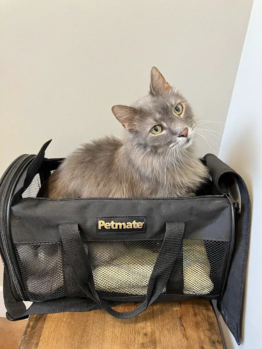 Furdunkin Veterinary Emergency Hospital 10