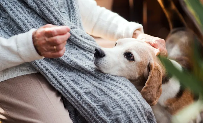 Furdunkin Veterinary Emergency Hospital 9