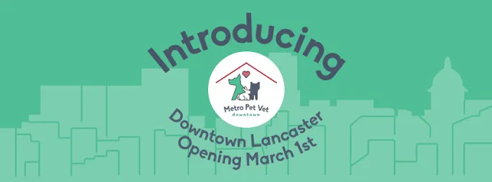 Metro Pet Vet downtown 12